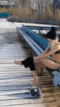 불곰국 다이빙... | 보배드림 유머게시판