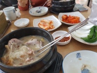 삼계탕을 먹는데... | 보배드림 유머게시판