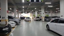 살다살다 이런주차 저도 실제로 보내요 | 보배드림 유머게시판