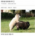 양도 합니다..jpg | 보배드림 유머게시판