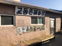 인천광역시  강화군 | 보배드림 유머게시판