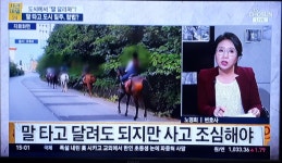 오늘자 뉴스(동물관련) | 보배드림 유머게시판