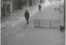 혐) 외벽에 맞는 여성. | 보배드림 유머게시판