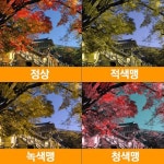 색맹이 보는 세상 | 보배드림 유머게시판