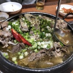 옻 오리 한잔 합니다 | 보배드림 유머게시판
