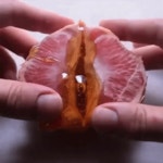 회사에서는 폰봅만 하는데요 | 보배드림 유머게시판
