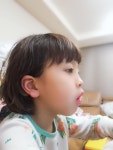 우리집 막둥이 입니다 | 보배드림 유머게시판