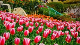 장승포~능포간 해안로 | 보배드림 유머게시판