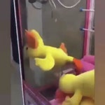 무한 인형뽑기 | 보배드림 유머게시판