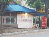 너  어디가니 거긴아니야 | 보배드림 유머게시판