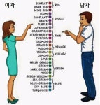 남여차이 | 보배드림 유머게시판
