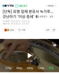 남양이 남양한 사건. 인터뷰 | 보배드림 유머게시판