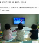뽀로로의 위험 | 보배드림 유머게시판