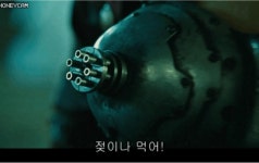 간식들드세요~~~ | 보배드림 유머게시판