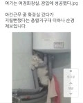 경찰 지구대 화장실에서 몰래.. | 보배드림 유머게시판