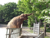 태양열 사업 ?? 노다지인가요? | 보배드림 유머게시판
