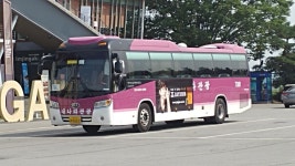 임진각 | 보배드림 트럭/버스/중기