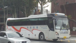 버스잡사 | 보배드림 트럭/버스/중기
