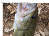 커뮤니티