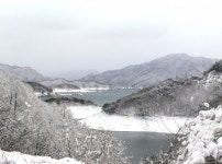 커뮤니티