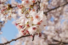 와 싸이메라 필터 너무 예뻐 - 인스티즈(instiz, 音思提资) 익명잡담 [익명잡담] 와 싸이메라 필터 너무 예뻐