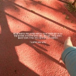 하늘아래 - 인스티즈(instiz) 일상포토 하늘아래