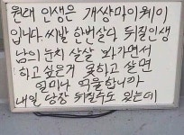 명언 중에 이게 젤 와닿더라(욕주의)명언 중에 이게 젤 와닿더라(욕주의) - 인스티즈(instiz) 익명잡담