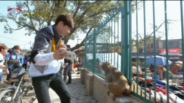 비정상회담) 쭈굴위안 콜렉션 - 인스티즈(instiz) 익명감상 비정상회담) 쭈굴위안 콜렉션