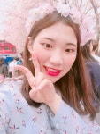 어제 다녀온 진해 군항제٩('ω')و - 인스티즈(instiz) 익명잡담 어제 다녀온 진해 군항제٩('ω')و
