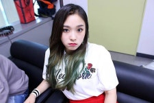현재까지 믹스나인 기획사투어 반응 제일 좋은 소속사 - 인스티즈(instiz, 音思提资) 인티포털 현재까지 믹스나인 기획사투어 반응 제일 좋은... 