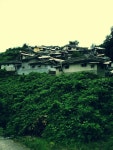 순천에서 찍은사진들 힐링힐링40(많음주의) - 인스티즈(instiz) 일상 카테고리 순천에서 찍은사진들 힐링힐링40(많음주의)
