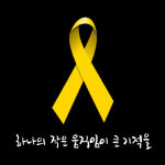 노란리본사진 필요하신분 저장해가세요 - 인스티즈(instiz) 인티포털 노란리본사진 필요하신분 저장해가세요