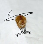 식빵 굽는 고양이사진에 그림 그려넣기 - 인스티즈(instiz) 이슈 카테고리 식빵 굽는 고양이사진에 그림 그려넣기