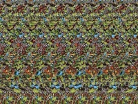 방법을 아는 사람들만 보이는 세계.jpg - 인스티즈(instiz) 인티포털 방법을 아는 사람들만 보이는 세계.jpg