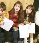 [프로듀스101] 인스타에 올라온 솜댕영상 - 인스티즈(instiz) 인티영상 (종료) 카테고리