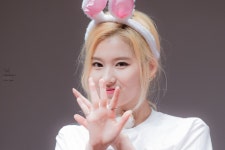 토끼 머리띠 트와이스 사나 - 인스티즈(instiz, 音思提资) 인티포털 토끼 머리띠 트와이스 사나