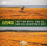 여자친구와 제주도로 여행을 떠나보자 - 인스티즈(instiz) 인티포털 여자친구와 제주도로 여행을 떠나보자