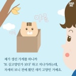  생선 싫어하는 생선 가게 고양이 - 인스티즈(instiz) 인티포털 생선 싫어하는 생선 가게 고양이