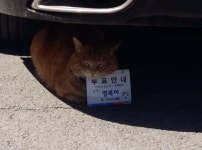 이번 대선 투표 안내원 영복이.jpg - 인스티즈(instiz) 인티포털 이번 대선 투표 안내원 영복이.jpg