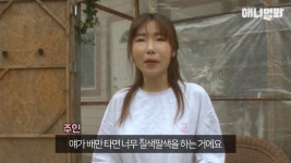 혼자 버스타고 지인 만나러 가는 강아지 상연이.jpg - 인스티즈(instiz... [인티포털] 혼자 버스타고 지인 만나러 가는 강아지 상연이.jpg