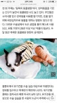비양심 동물병원의 민낯 - 인스티즈(instiz, 音思提资) 인티포털 [인티포털] 비양심 동물병원의 민낯