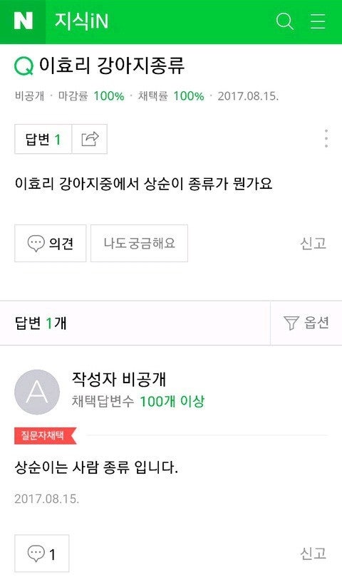 이효리 강아지 종류