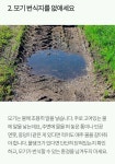 모기로부터 살아남는 5가지 방법 - 인스티즈(instiz, 音思提资) 인티포털 [인티포털] 모기로부터 살아남는 5가지 방법