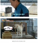 사람같은 호야 근황 .JPG - 인스티즈(instiz, 音思提资) 인티포털 사람같은 호야 근황 .JPG