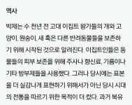 존재했던 것의 아름다움, 박제의 미학 - 인스티즈(instiz, 音思提资) 인티포털 [인티포털] 존재했던 것의 아름다움, 박제의 미학