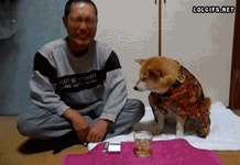 술좀 작작 마셔라 | 보배드림 국산차게시판