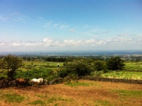 아슬란 좋았습니다(몇달 전 제주 시승기) | 보배드림 국산차게시판
