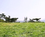 큐티뽀짝 수호랑? - 인스티즈(instiz) 이슈 카테고리
