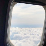 In JEJU ✈️ - 인스티즈(instiz) 일상포토 (종료) 카테고리 In JEJU ✈️