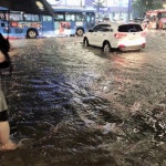 나 방금 홍대입구역 지나왔는데 워터파크 개장했더라 - 인스티즈(instiz) 일상 카테고리 나 방금 홍대입구역 지나왔는데 워터파크 개장했더라